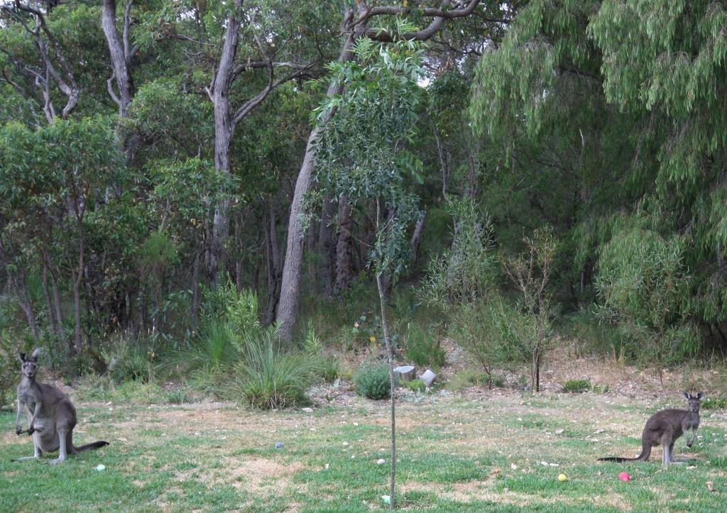 Margaret River Bed&Breakfast Exteriör bild